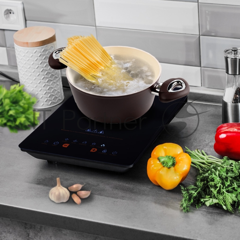 Индукционная плитка Endever Skyline IP-48