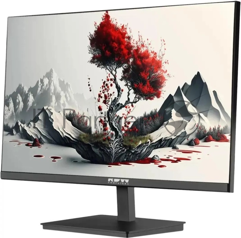 Монитор RDW Computers 23.8 RDW2401K черный IPS 5ms 16:9 HDMI M/M матовая HAS Piv 1000:1 300cd 178гр/178гр 1920x1080 120Hz VGA DP FHD 4.185кг (RUS)