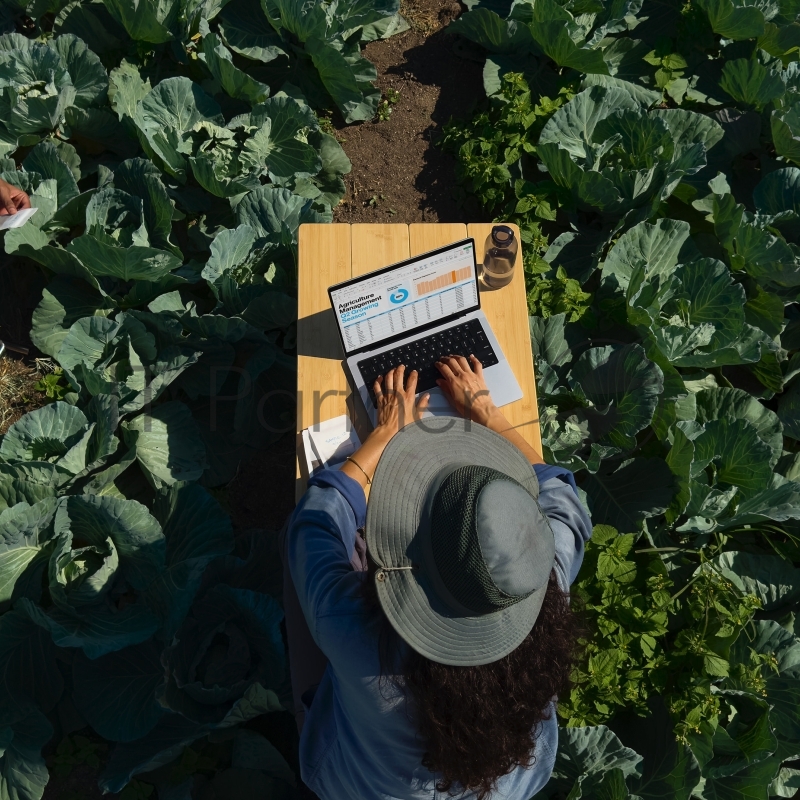 Ноутбук 14-inch MacBook Pro: Apple M4 Pro 12-core CPU, 16-core GPU/24GB/512GB SSD - Space Black/RU