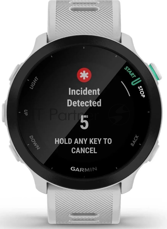 Смарт-часы Garmin Forerunner 55 белый 42мм