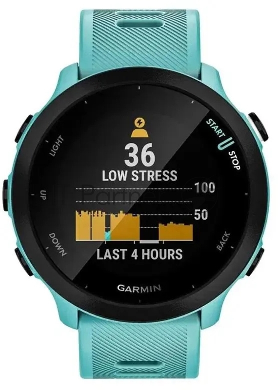 Смарт-часы Garmin Forerunner 55 бирюзовый 42мм