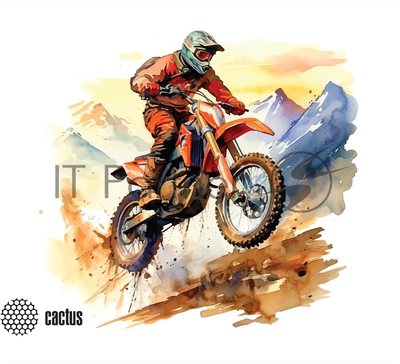 Коврик для мыши Cactus Motobike 250x200x3мм (CS-MP-D12S)