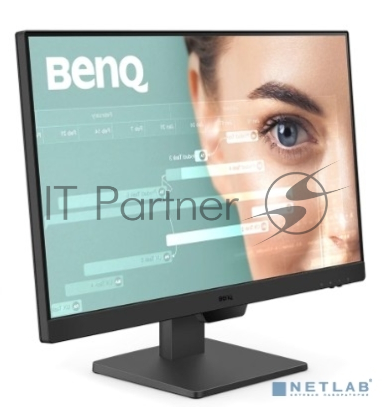 Монитор 23.8 BenQ GW2490 (BL2490) IPS 1920x1080, 100 Гц, 5 мс, 16:9, 250 кд/м2, 2xHDMI, 1xDP, 1x3.5 мм, черный