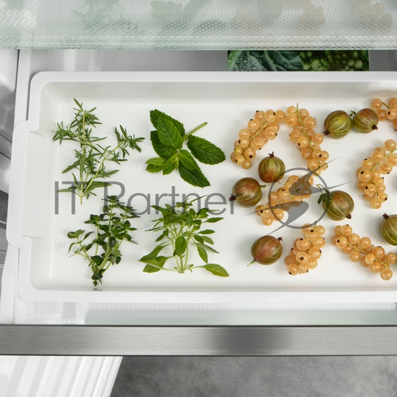 Морозилка Liebherr SFNsdd 5237-22 001