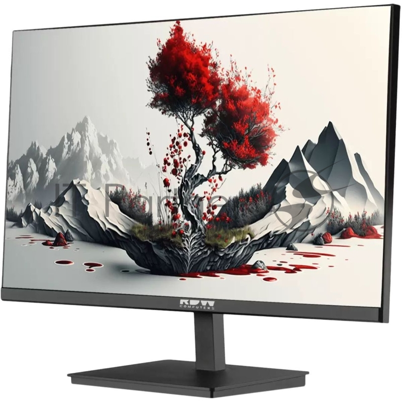 Монитор RDW2401K 1920x1080(FHD) IPS 100Hz 5мс 178°/178 300cd 1000:1 VGA HDMI DP наклон, внутр.БП, Динамики, черный, VESA 100*100, реестр МПТ/ 1 год гарантия