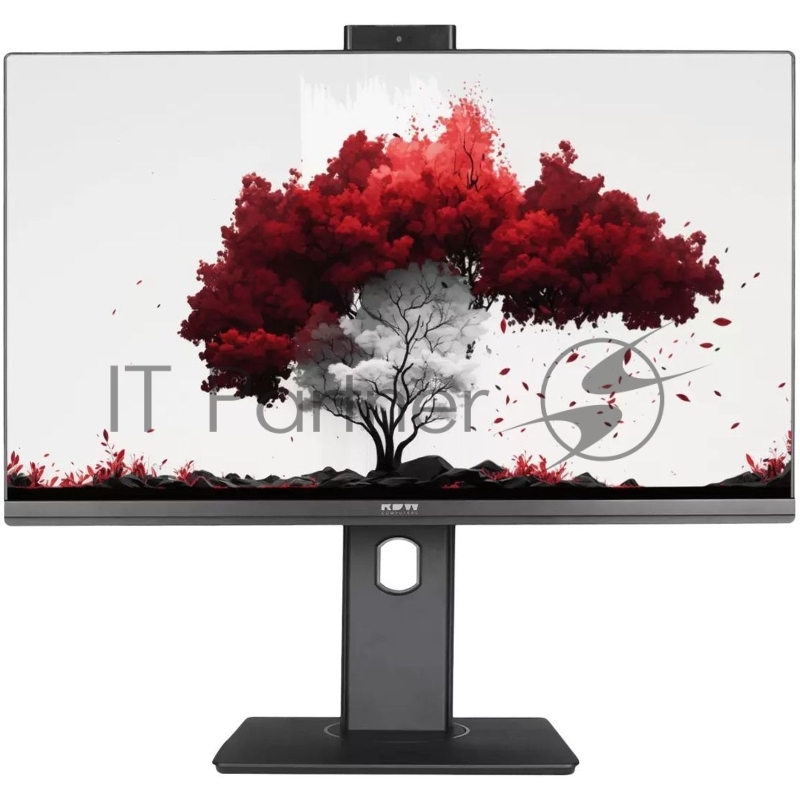 Монитор RDW2402K веб-камера 1920x1080(FHD) IPS 60Hz 5мс 178°/178 250cd VGA HDMI DP USB-hub 2*USB внутренний БП, Рег. по высоте, Портретный режим, Поворот вокруг своей оси(лево/право), Наклон, Динамики, черный реестр МПТ, 1 год