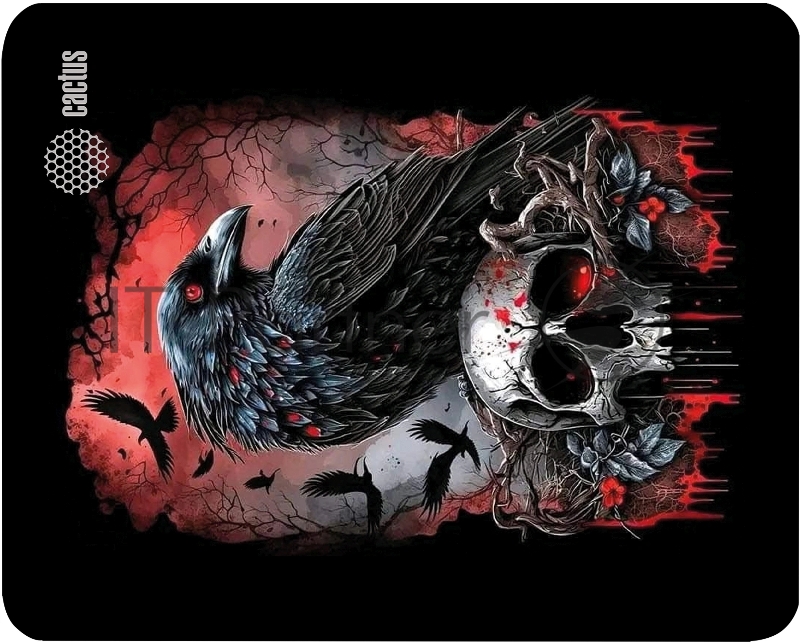 Коврик для мыши Cactus Raven 250x200x2мм (CS-MP-D14S)