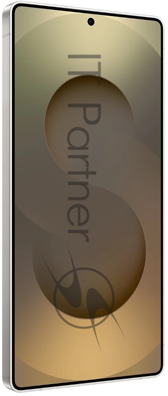 Смартфон Samsung Galaxy S25 Ultra 5G 12/256GB Titanium Gray arabic