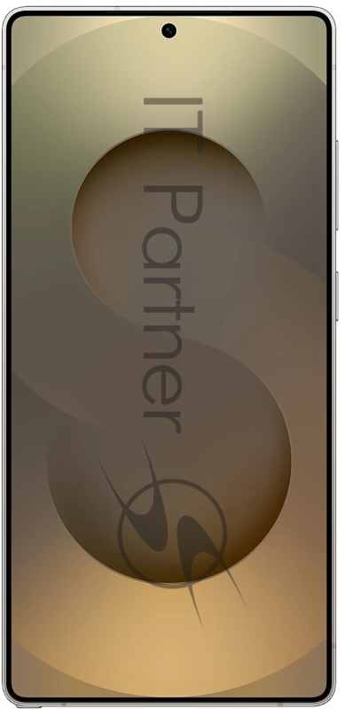 Смартфон Samsung Galaxy S25 Ultra 5G 12/256GB Titanium Gray arabic