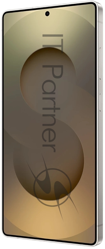 Смартфон Samsung Galaxy S25 Ultra 5G 12/256GB Titanium Gray arabic