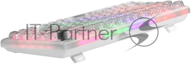 Механическая клавиатура Defender Icebone GK-354 RU,прозрач,81кн+FN,радуж,1.5м_1