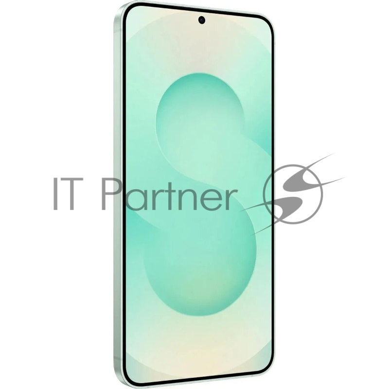 Смартфон Samsung Galaxy S25+ 12+512Gb мятный (SM-S936BLGCCAC)