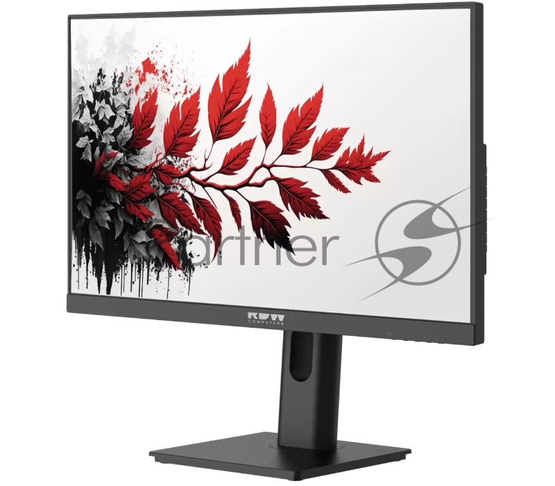 Монитор RDW Computers 27 RDW2701K черный IPS 1ms HDMI M/M матовая HAS Piv 350cd 178гр/178гр 2560x1440 DP QHD (RUS)