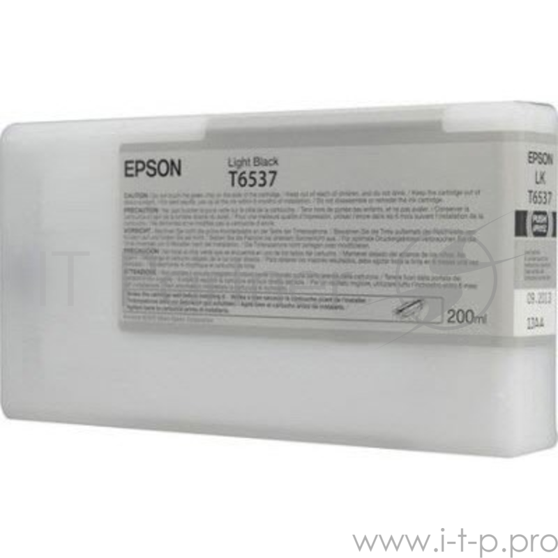 Epson Stylus Pro 4900 Ink Cartridge (200ml) : Light Black