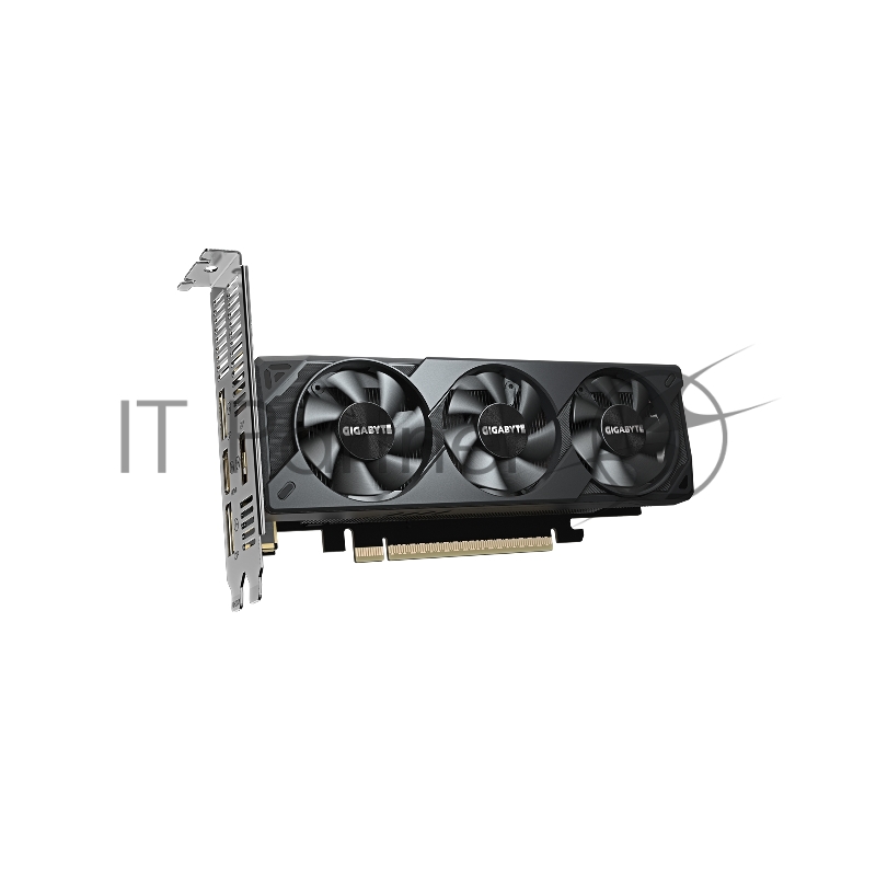 Видеокарта Gigabyte PCI-E 5.0 GV-N5060OC-8GL 1.0 NVIDIA GeForce RTX 5060 8Gb 128bit GDDR7 2512/28000 HDMIx1 DPx3 HDCP Ret low profile