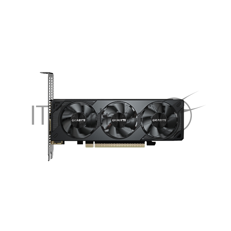 Видеокарта Gigabyte PCI-E 5.0 GV-N5060OC-8GL 1.0 NVIDIA GeForce RTX 5060 8Gb 128bit GDDR7 2512/28000 HDMIx1 DPx3 HDCP Ret low profile