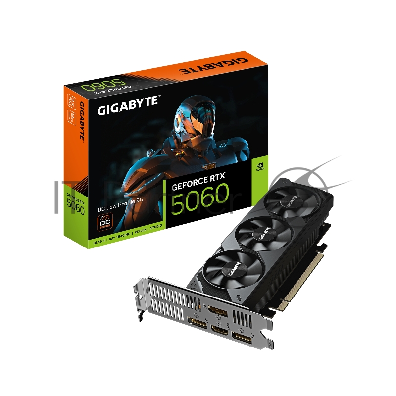 Видеокарта Gigabyte PCI-E 5.0 GV-N5060OC-8GL 1.0 NVIDIA GeForce RTX 5060 8Gb 128bit GDDR7 2512/28000 HDMIx1 DPx3 HDCP Ret low profile