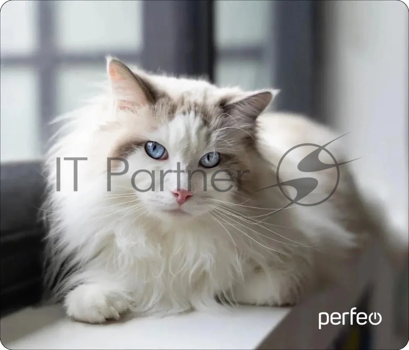 Коврик для мыши PERFEO (PF_D0638) Cat
