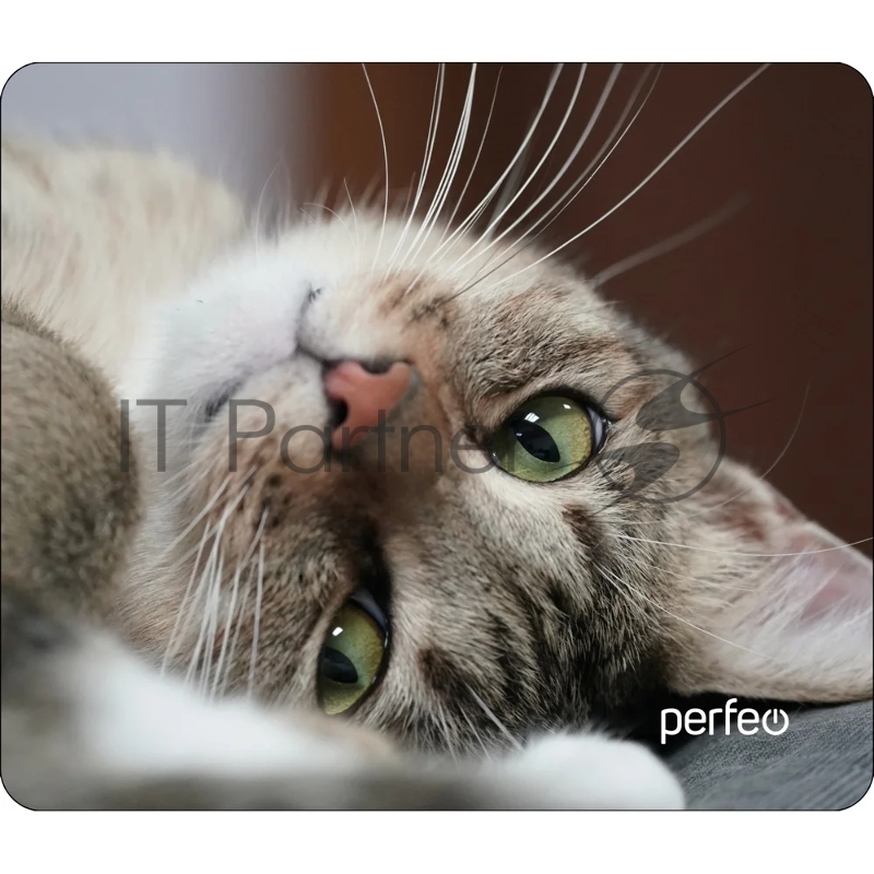 Коврик для мыши PERFEO (PF_D0660) Cat