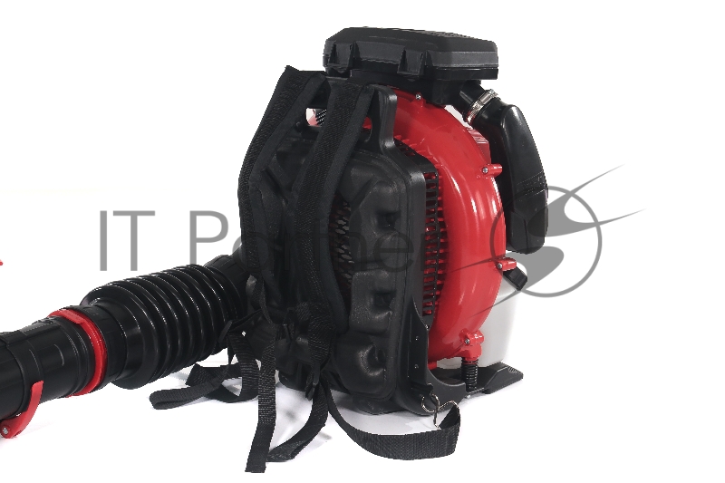 Воздуходувка бензиномоторная Интерскол Флагман ВБ 76 678.0.0.70