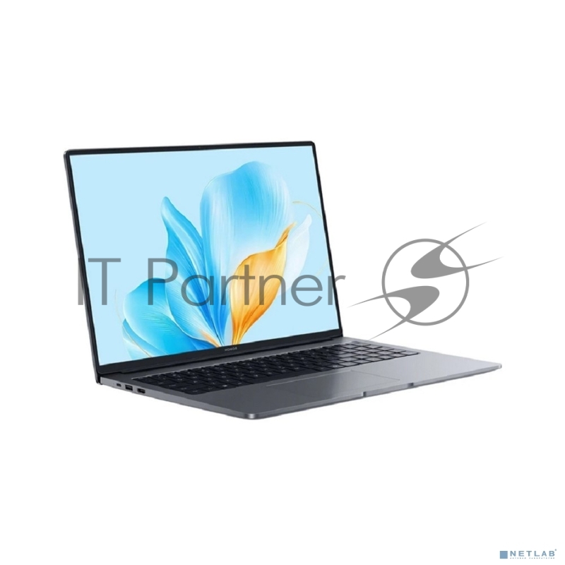 Ноутбук Honor MagicBook X16 2025 BRG-585 Space Gray (5301ALWQ)