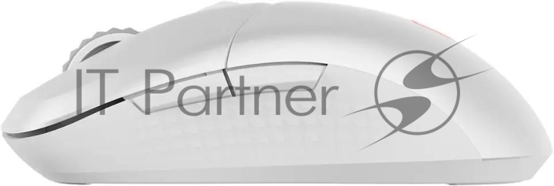 Мышь беспроводная MSI VERSA 300 W MS-8ZBD, игровая, радио, оптическая, USB, 8000dpi, белый