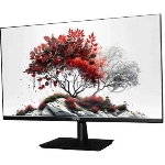 Монитор RDW Computers 27 RDW2701K черный IPS 1ms HDMI M/M 350cd 178гр/178гр 2560x1440 100Hz DP QHD USB (RUS)