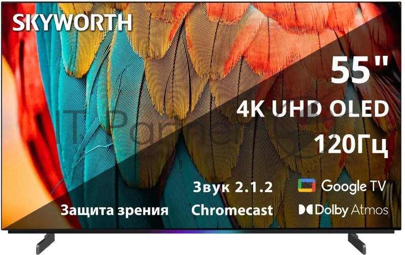 Телевизор OLED Skyworth 55 55SXF9800 Frameless черный/черный 4K Ultra HD 120Hz MEMC DVB-T DVB-T2 DVB-C DVB-S DVB-S2 USB 2.0 WiFi Smart TV