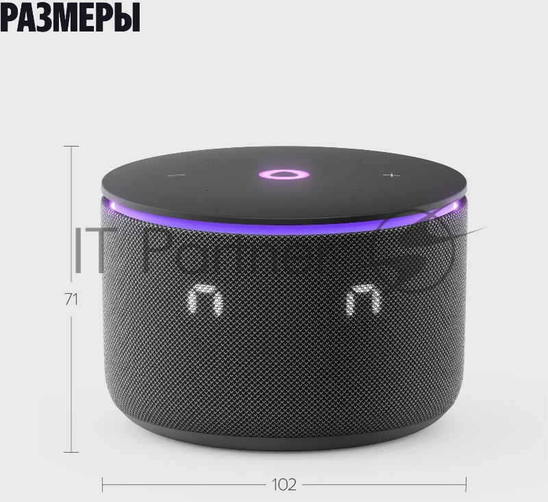 Умная колонка Яндекс Станция Мини 3 Про с Алисой, Zigbee, черный, YNDX-00059BLK