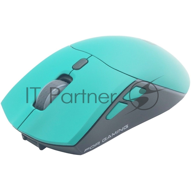 Мышь Raskat MG009WR