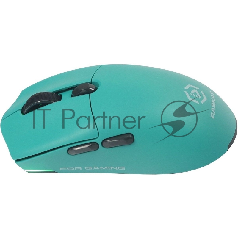 Мышь Raskat MG006TR