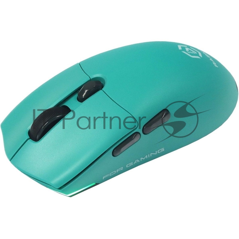 Мышь Raskat MG006TR