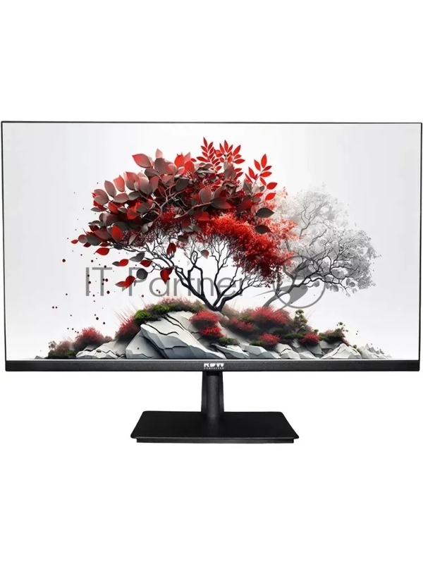 Монитор RDW Computers 23.8 RDW2401K черный IPS 4ms HDMI M/M HAS Piv 350cd 178гр/178гр 1920x1080 100Hz VGA DP FHD USB (RUS)