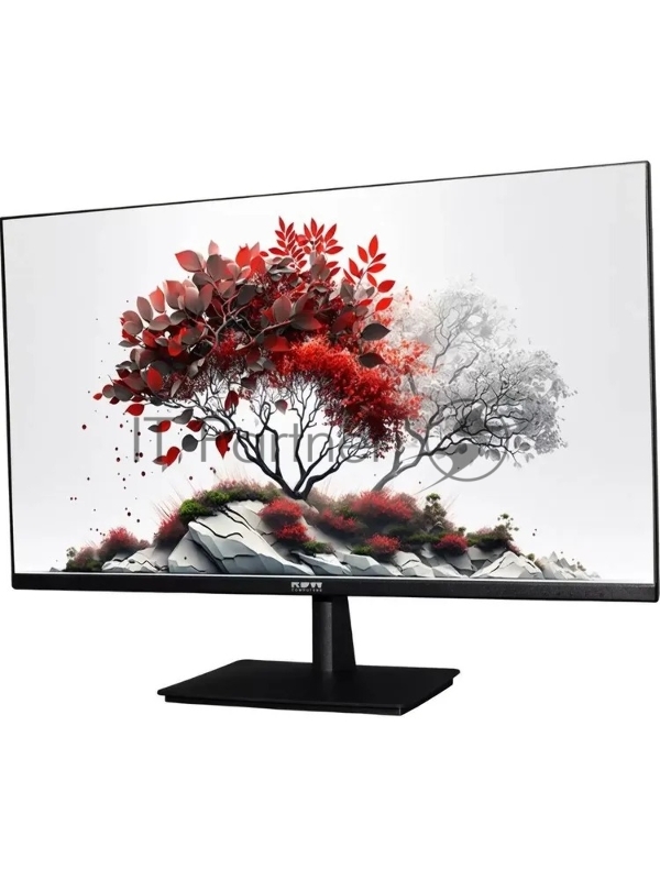 Монитор RDW Computers 23.8 RDW2401K черный IPS 4ms HDMI M/M HAS Piv 350cd 178гр/178гр 1920x1080 100Hz VGA DP FHD USB (RUS)