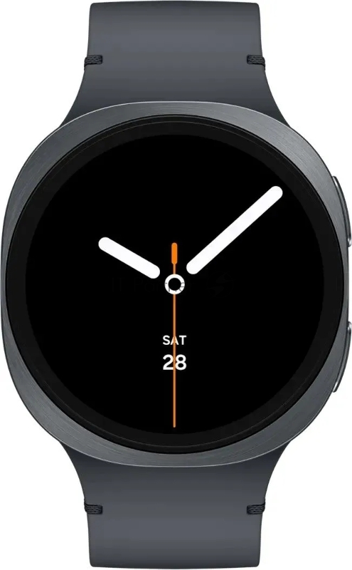 Смарт-часы Samsung Galaxy Watch 8 44mm LTE SM-L335 Graphite CAU