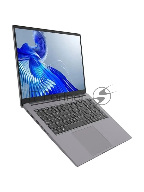 Ноутбук MAIBENBEN P725 Intel Core i5 12450H 2000MHz/17.3/1920x1080/32GB/10 SSD/Intel UHD Graphics/Wi-Fi/Bluetooth/Windo 11 Home (P7251SG0HGRE0_32) Grey