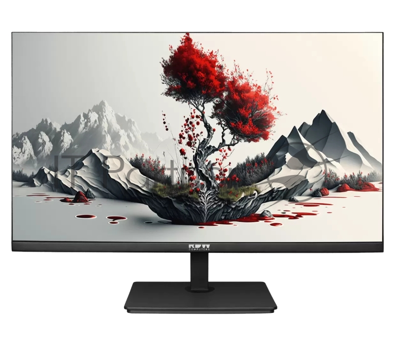 Монитор RDW Computers 23.8 RDW2401K черный IPS 4ms HDMI M/M 300cd 178гр/178гр 1920x1080 100Hz VGA DP FHD 4.7кг (RUS)