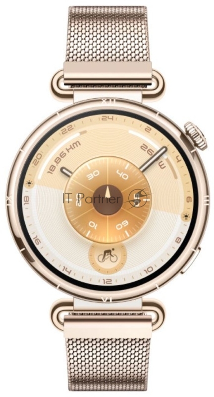 Умные часы Huawei GT 6 KSU-B19 55020FVW зоолотой