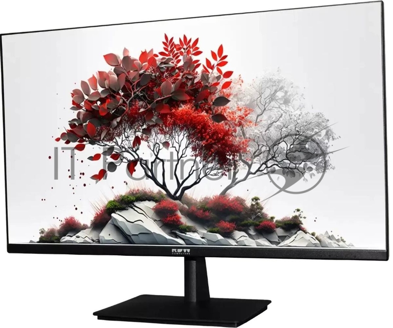 Монитор RDW Computers 27 RDW2701K черный IPS 5ms 16:9 HDMI 1000:1 300cd 178гр/178гр 1920x1080 100Hz VGA DP FHD (RUS)